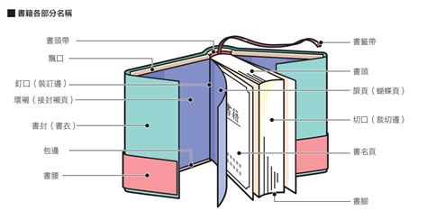 書本名稱|書背、版權頁、後記⋯⋯書的各個部位英文怎麼說？